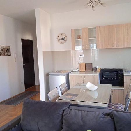Apartment Srebrni Oblak Arandjelovac Kültér fotó
