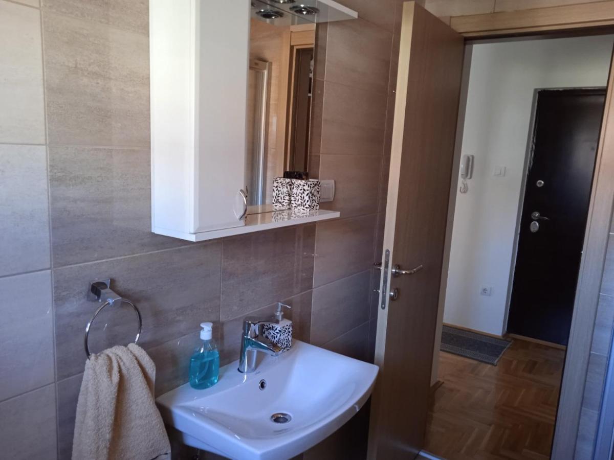 Apartment Srebrni Oblak Arandjelovac Kültér fotó