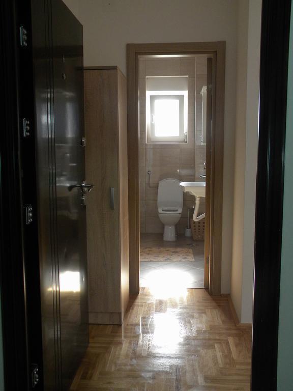 Apartment Srebrni Oblak Arandjelovac Kültér fotó