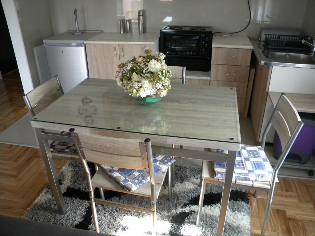 Apartment Srebrni Oblak Arandjelovac Kültér fotó