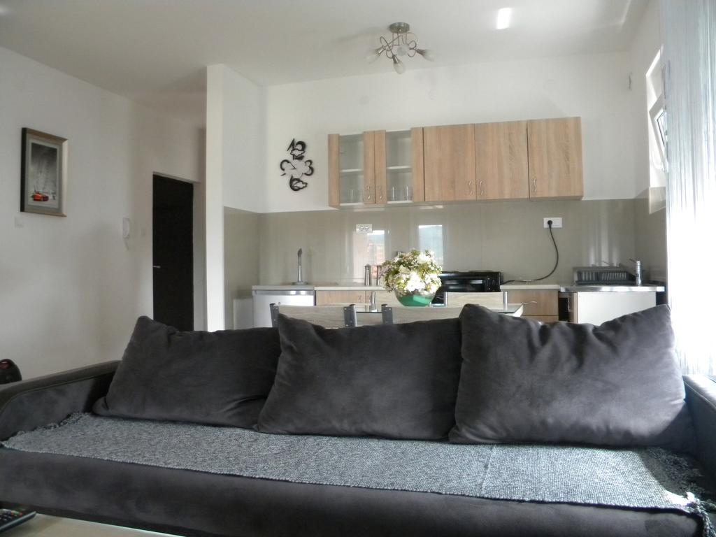 Apartment Srebrni Oblak Arandjelovac Kültér fotó