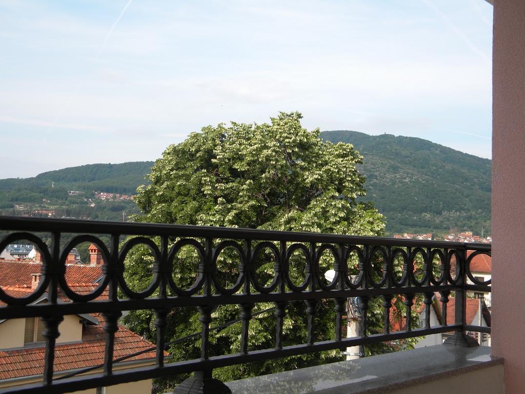 Apartment Srebrni Oblak Arandjelovac Kültér fotó